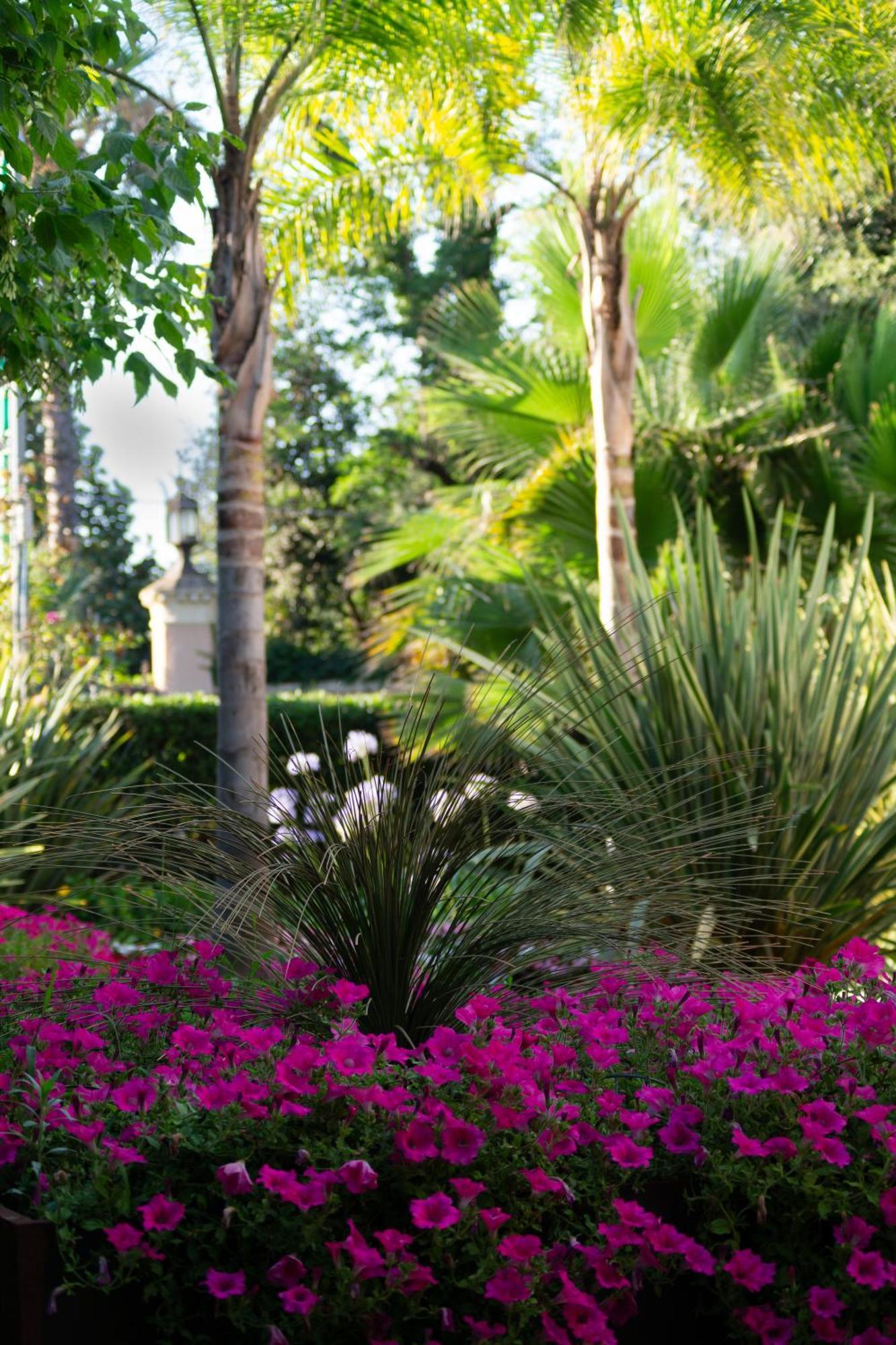 Park Hotel Giusy ليدو دي كامايوري المظهر الخارجي الصورة